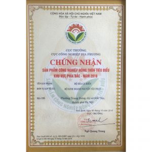 Chúng nhận - sản phẩm công nghiệp nông thôn tiêu biểu cấp thành phố - năm 2016 "Bộ Đĩa Cá Biển" - Nguyễn Tấn Phát
