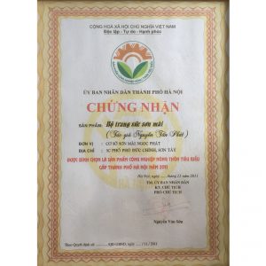 Chứng nhận tác phẩm "Bộ trang sức sơn mài" được bình chọn là sản phẩm công nghiệp nông thôn tiêu biểu cấp thành phố Hà Nội năm 2011 - Nguyễn Tấn Phát