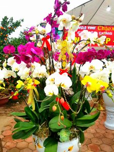 nội dung ảnh